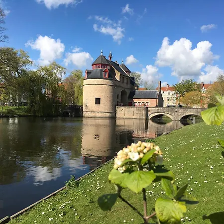 Royal Swans Bed & Breakfast Bruges