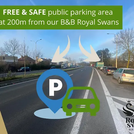 Royal Swans Brygge